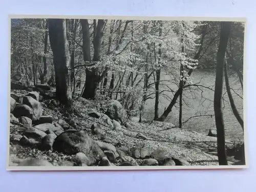 Alte AK Naturfotografie Stemp. Fotohaus Krafft Feldberg [1067]