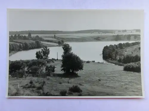 Alte AK Naturfotografie Stemp. Fotohaus Krafft Feldberg [1068]