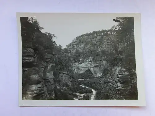 Alte AK Originalfoto Sächsische Schweiz 1929 9x12 cm [1087]