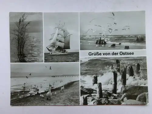 Alte AK Grüße von der Ostsee Mehrbildkarte [aO1582]