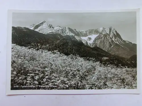 Alte AK Garmisch Partenkirchen Blühende Wiese [aO1377]
