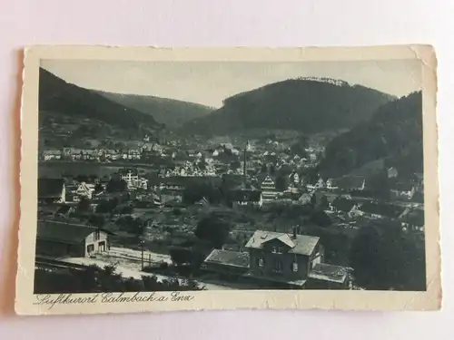 Alte AK Calmbach a. Enz [aX732]