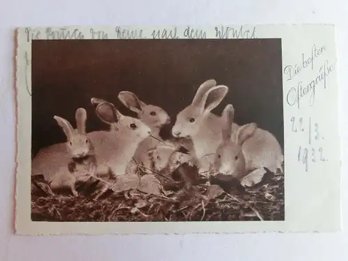 Alte AK Grußkarte Ostern Hase Hasen  [aT805]