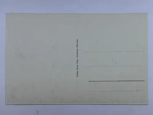 Alte AK Auerbach Schloß um 1920 [A1420]