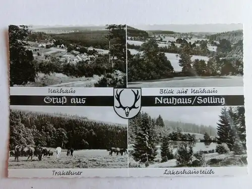 Alte AK Neuhaus Solling Mehrbildkarte [C947]