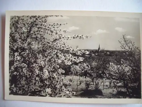 Alte AK Werder Havel Blick v. d. Wachtelburg [Z520]