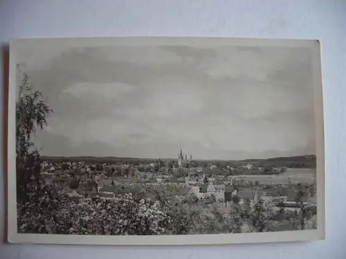 Alte AK Werder Havel Baumblüte [Z524]