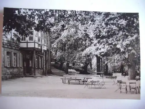 Alte AK Fotokarte Stecklenburg Burgruine Lauenburg [aG269]