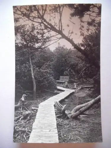 Alte AK Georgenfeld Hochmoor Erzgebirge [aG307]