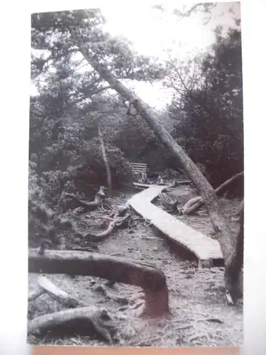 Alte AK Georgenfeld Hochmoor Erzgebirge [aG308]