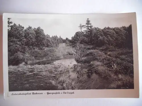 Alte AK Georgenfeld Hochmoor Erzgebirge [aG309]