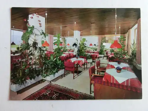 Alte AK Nesselwang Kurheim Bergpanorama [aJ1248]