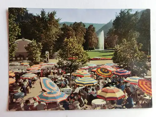 Alte AK Bad Liebenzell Im Kurpark [aJ1258]