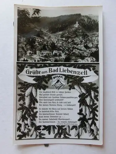 Alte AK Bad Liebenzell mit Gedicht [aJ1314]