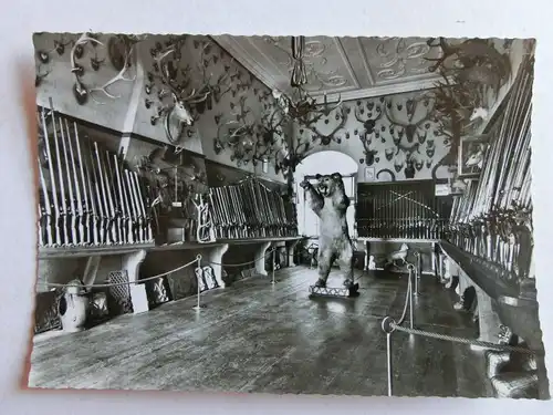 Alte AK Schloß Wolfegg Waffensammlung mit Bär [aJ1340]