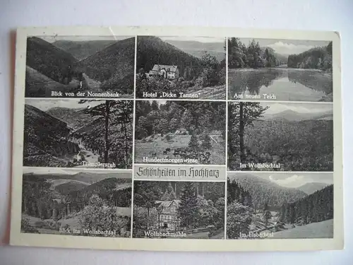 Alte AK Hochharz Harz Wolfsbachtal Trümplersruh … [Z649]