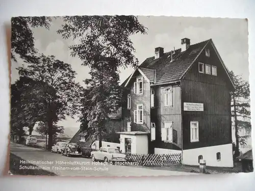Alte AK Hohegeiß Hochharz Schullandheim [Z666]