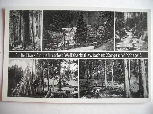 Alte AK Wolfsbachtal Zorge Hohegeiß Hochharz [Z674]