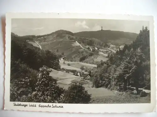 Alte AK Teutoburger Wald Lippesche Schweiz [Z694]