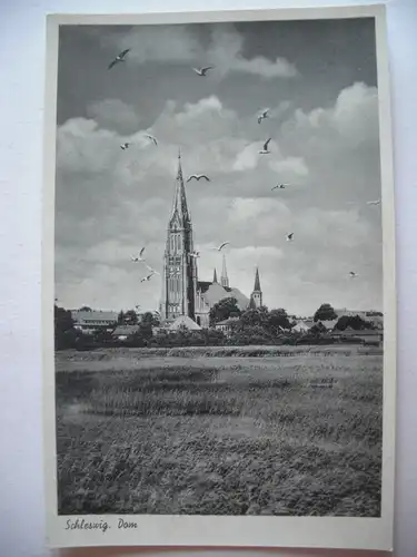 Alte AK Schleswig Dom [Z750]