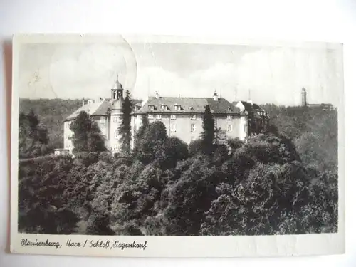 Alte AK Blankenburg Harz Schloß, Ziegenkopf [Z833]