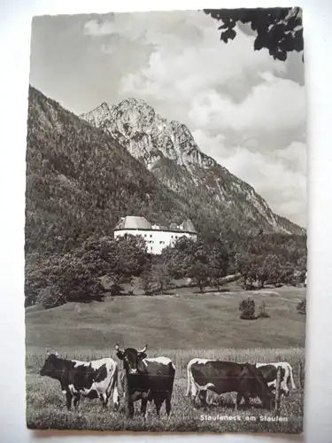 Alte AK Staufeneck am Staufen [Z284]