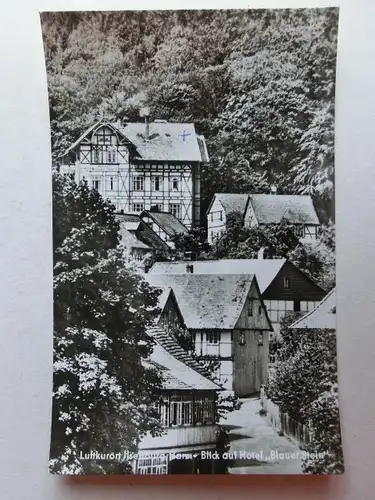 Alte AK Ilsenburg Hotel Blauer Stein [C1009]