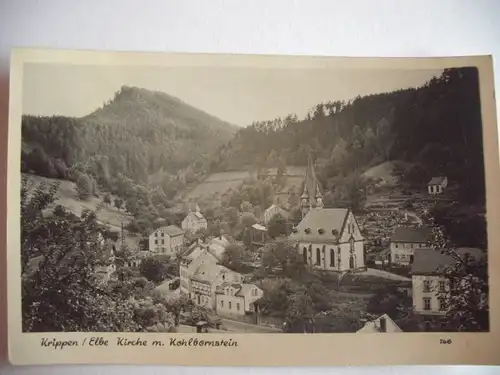 Alte AK Krippen Elbe [aA228]