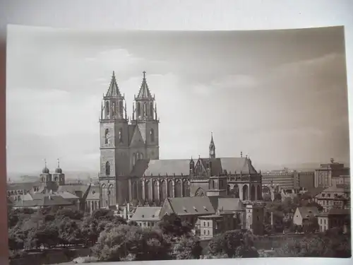Alte AK Magdeburg Dom u. St. Sebastianskirche [aA258]
