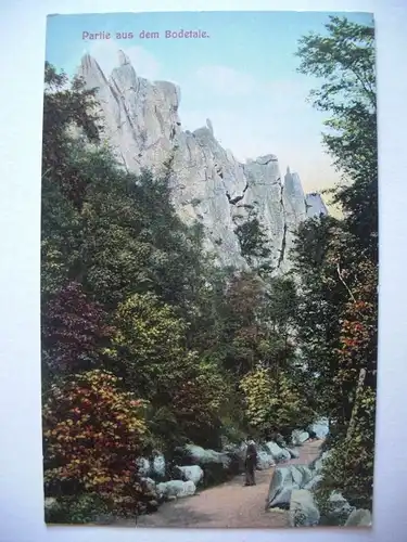 Alte AK Partie aus dem Bodetal Harz um 1920 [F595]