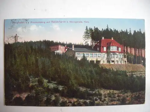 Alte AK Berghotel Armeleuteberg Wernigerode 1925 [T211]