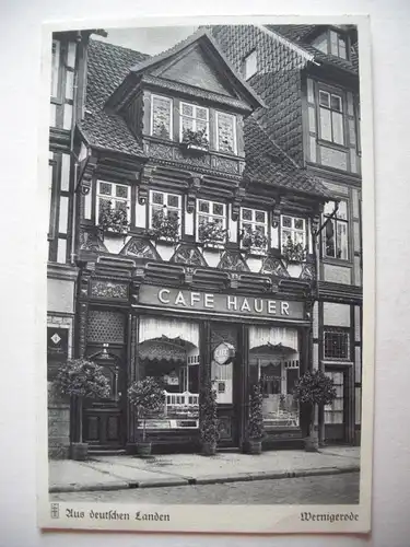 Alte AK Wernigerode Cafe Hauer [T238]