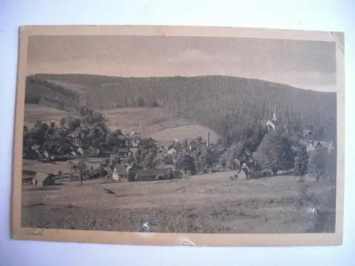 Alte AK Sommerfrische Scheibe Thüringer Wald [E1012]