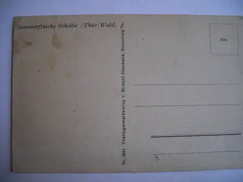 Alte AK Sommerfrische Scheibe Thüringer Wald [E1012]