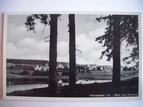 Alte AK Hahnenklee Blick v. Ringweg  [F1037]