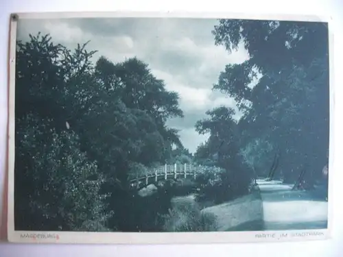 Alte AK Magdeburg Partie im Stadtpark [T113]