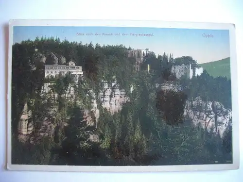 Alte AK Oybin Ruinen Bergrestaurant 1916 [S66]