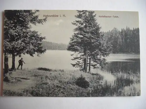 Alte AK Hahnenklee Harz Kuttelbacher Teich [R298]