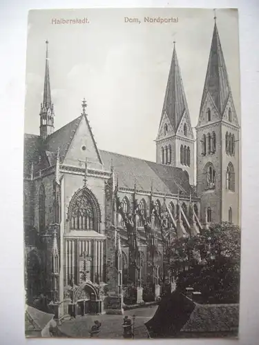 Alte AK Halberstadt Dom Nordportal um 1910 [R219]