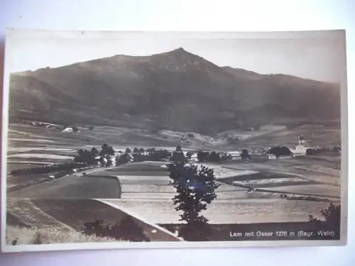 Alte AK Lam mit Osser Bayerischer Wald [R59]