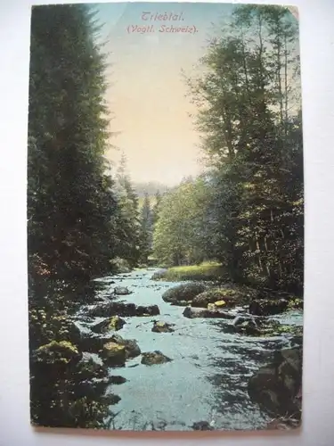 Alte AK Triebtal Vogtländische Schweiz [440]