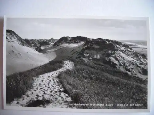 Alte AK Westerland auf Sylt Dünen [T947]