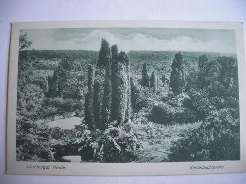 Alte AK Lüneburger Heide Weselbachquelle [T865]