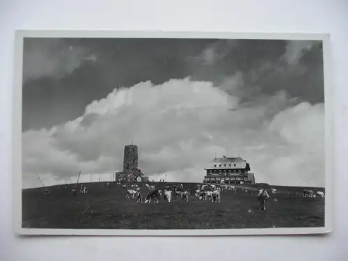 Alte AK Feldberg Schwarzwald [aE127]