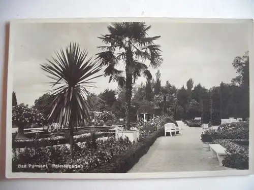 Alte AK Bad Pyrmont Palmengarten [aE304]