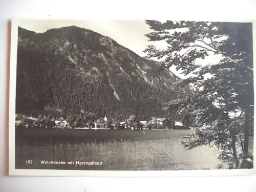 Alte AK Walchensee mit Herzogstand [aE393]