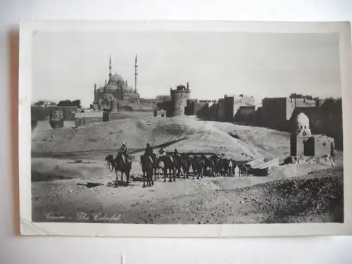 Alte AK Ägypten Kairo Kamele 1956 [aE461]