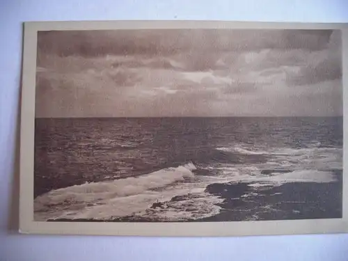 Alte AK Insel Brioni Adria Punta Peneda [aE514]