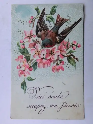 Alte AK Grußkarte Vogel Blütenzweig 1906 [aX925]