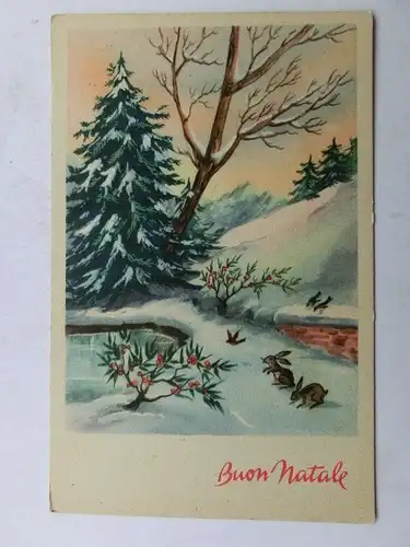 Alte AK Grußkarte Buon Natale Weihnachten Landschaft [aX938]